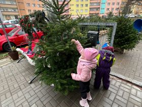 12/2024 - ZDOBENÍ VÁNOČNÍHO STROMEČKU V KVĚTINÁŘSTVÍ